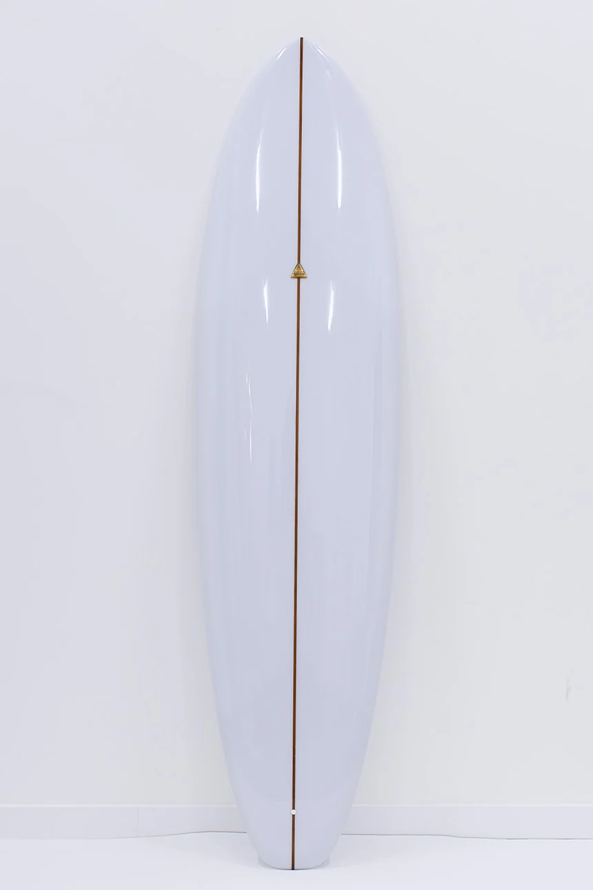 Sage Addiction Surfboards — Vue de dessus